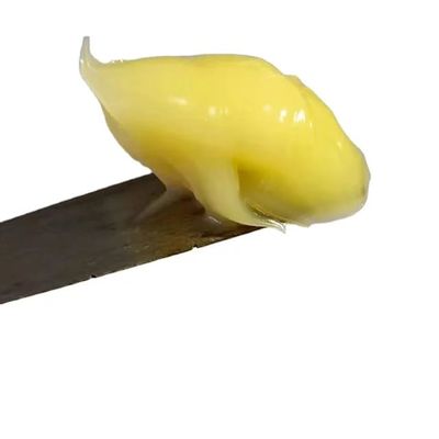 دهون صلبة صفراء لا مائية من الكالسيوم 1000 جرام الأكثر مبيعًا